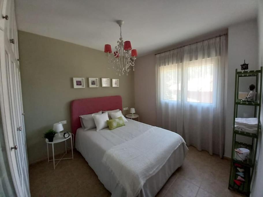 Apartamento Tranquilo Cerca De Zonas Verdes Cieza Esterno foto