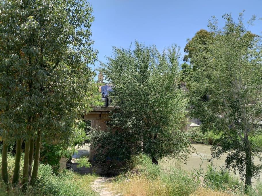 Apartamento Tranquilo Cerca De Zonas Verdes Cieza Esterno foto