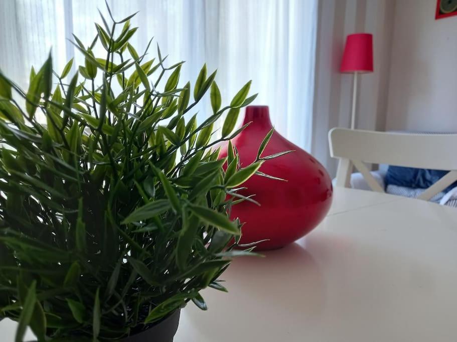 Apartamento Tranquilo Cerca De Zonas Verdes Cieza Esterno foto
