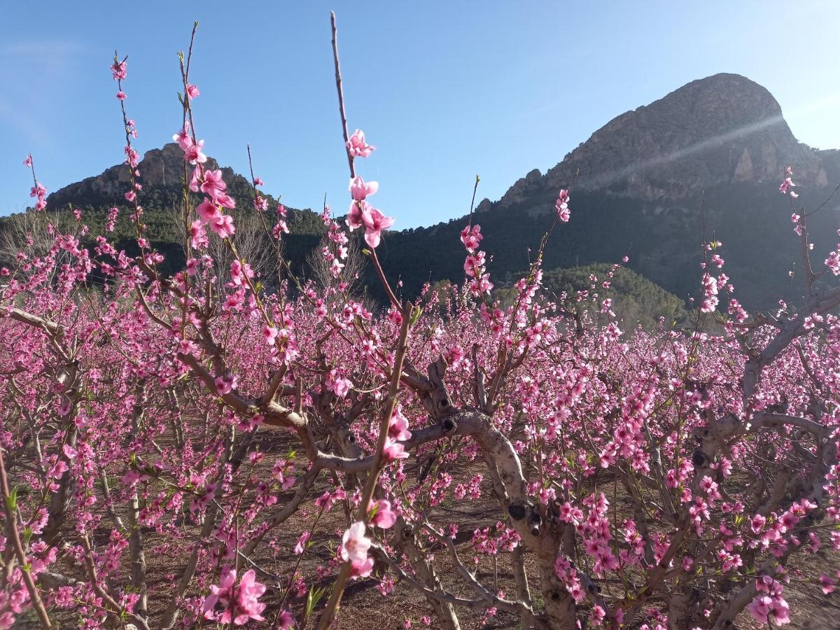 Apartamento Tranquilo Cerca De Zonas Verdes Cieza Esterno foto